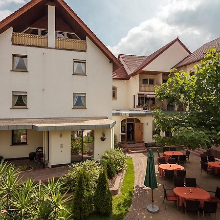 Hotel Pfaffenhofen Schwabenheim an der Selz Kültér fotó