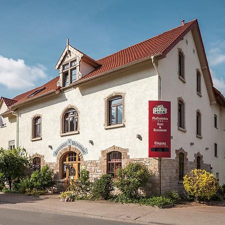 Hotel Pfaffenhofen Schwabenheim an der Selz Kültér fotó